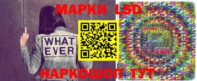 PSILOCYBIN Заволжье