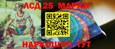 PSILOCYBIN Заволжье